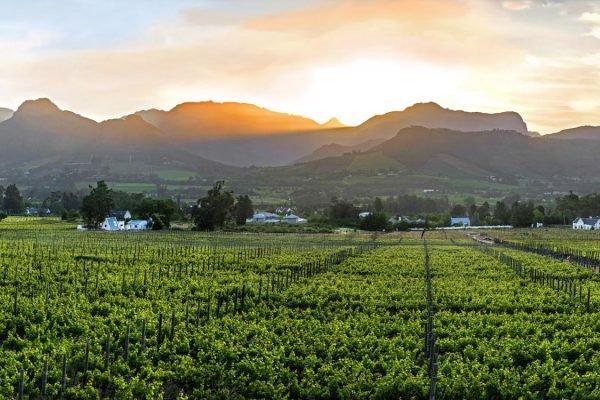 Garden Route, Capes + Winelands