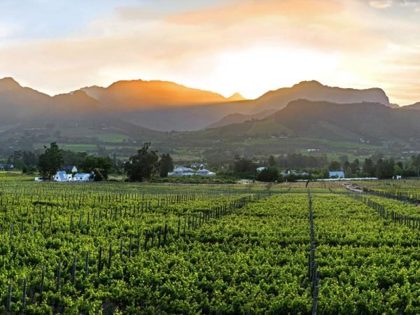 Garden Route, Capes + Winelands