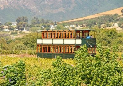 Things to Do in Stellenbosch: A Guide to South Africa’s Wine Region