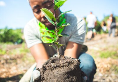 Gardens For Good