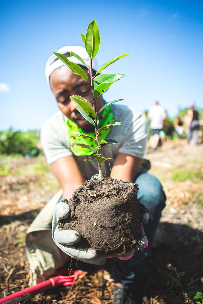 Gardens For Good